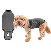 Dog Surgery Recovery Suit — Male Female After Spay Neuter Onesie — collection imagery