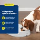 Automatic Dog Feeder — 5 Meals