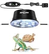 Reptile Humidifier — Mini Automatic Misting System for Reptile Terrariums — collection imagery