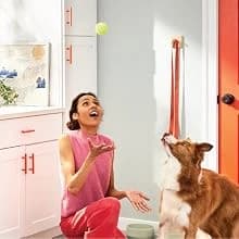 7350-PET Dog Nail Grinder — Pet Grooming Kit for Dogs and Cats — Getting started with your Pet Nail Grinder