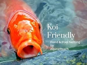 Koi Pond Netting Kit 15 x 20 ft Black Heavy Duty Woven Fine Mesh Net Cover for Leaves - Protects Koi Fish from — Koi Friendly