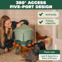 Insulated Chicken Waterer, 3 Gallon | Automatic Poultry Water Dispenser with 5 Cups and Nipples Included |