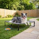 Outdoor Dog Bed — Cooling Elevated Pet Bed Portable Raised Dog Bed with Breathable Mesh