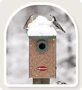 Metal Bird Feeders for Outdoors Hanging — collection imagery