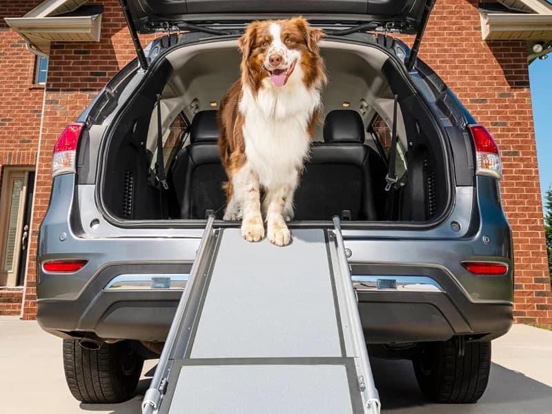 Happy Ride Extra Long Telescoping Dog Ramp — Extra Long Telescoping Dog Ramp