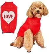 Soft Dog Hoodies for Small Dogs — collection imagery