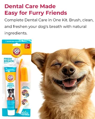 Puppy Grooming Wipes — Coconut Water — collection imagery