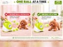PT5 Automatic Dog Ball Launcher for Small Dogs