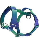 Dog Cooling Vest - Evaporative Summer Cooling — collection imagery
