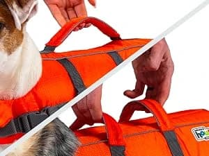 Granby Splash Dog Life Jacket — Confidence in Every Splash