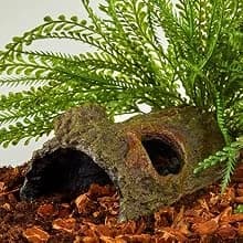 Bark Bends Reptile Hides for Geckos — Express Yourself