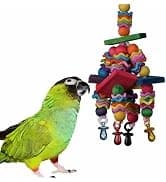 SB751 PVC Forager Bird Toy — Medium/Large Bird Size — collection imagery