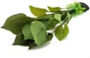 Silk Aquarium Plants — 12 Inch Artificial Silk Plants Decorations