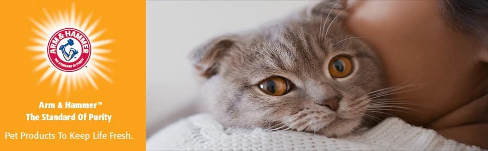 Rimmed Open Cat Litter Box — Wave with High Sides — collection imagery