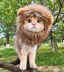 Lion Mane Wig for Cat Costume Pet Adjustable Washable Comfortable Fancy Lion Hair Cat Clothes Dress for