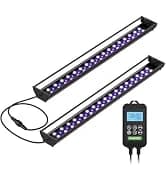 Real-time Display LED Digital Reptile Thermometer and Humidity Gauge — collection imagery