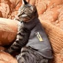 Classic Cat Anxiety Jacket — Heather Gray