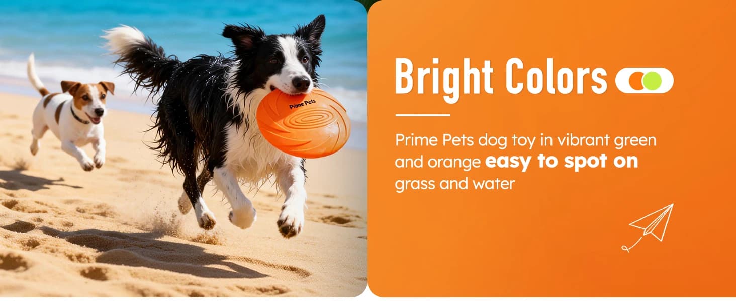 Dog Flying Disc — 2 Pack — product details