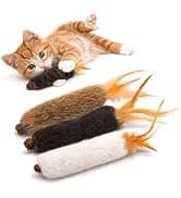 Parrot Chew Toy — Shreddable Cardboard Bird Platform — collection imagery