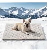 2 Packs Car Door Protector for Dogs — collection imagery