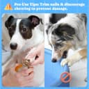 Foldable Dog Pool with Sprinkler and RGB LED Light