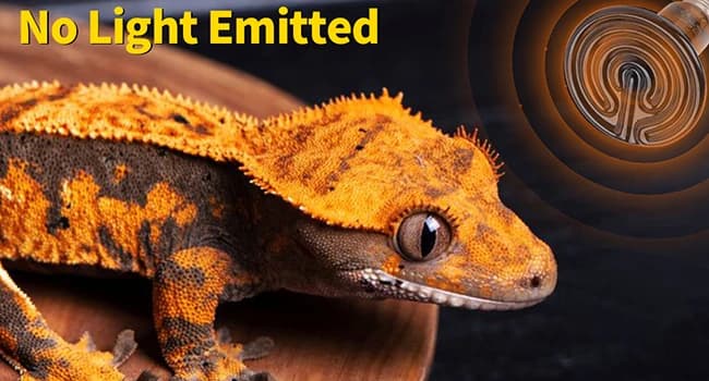 150W Ceramic Heat Emitter — Reptile Heat Bulbs — No Light Emitted