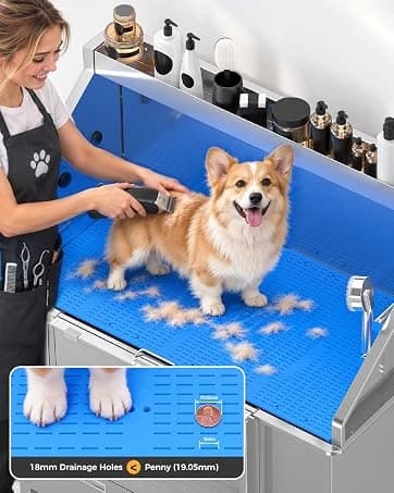 48'' Heavy Duty Dog Crates for Large Dogs — collection imagery