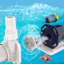Protein Skimmers for Saltwater Aquariums