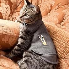 Classic Cat Anxiety Jacket — Heather Gray — Purr-fect for Vet Visits