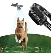 GPS Wireless Dog Fence — No Subscription Dog Collar for Dogs 15Lbs+ — collection imagery