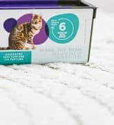 Refill Bags | Standard 3-Pack — collection imagery