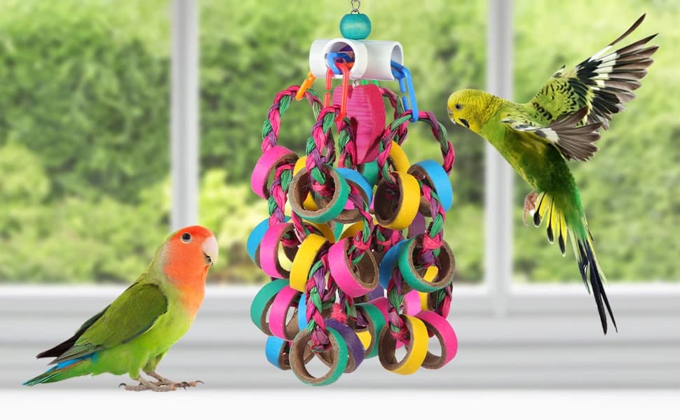 Bird Toys Conure Toys, Bird Parrot Foraging Shredder 24 Pcs Colorful Bagel Chewy Rings for Small Parrots — product details