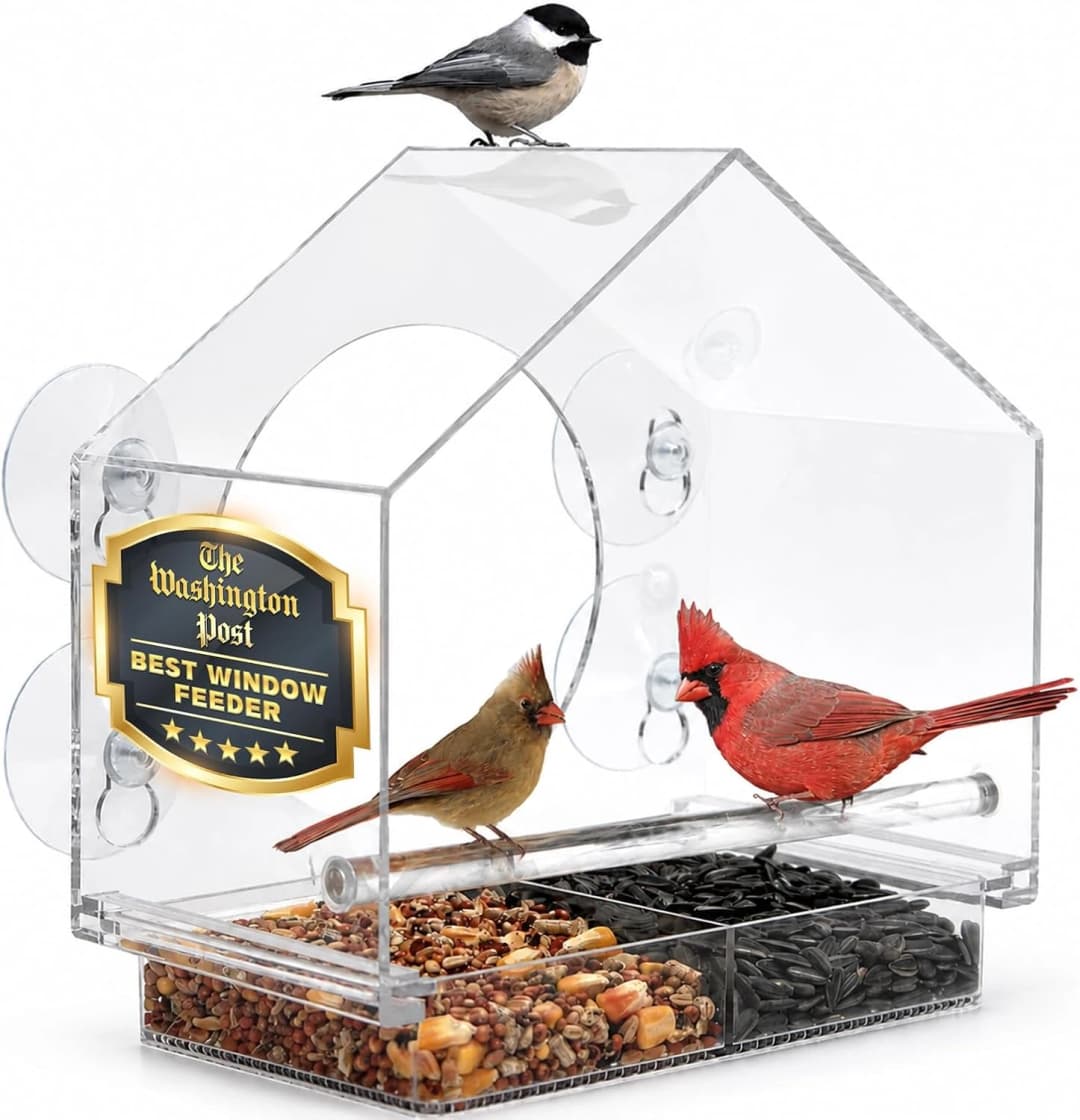Window Bird Feeder with Strong Suction Cups