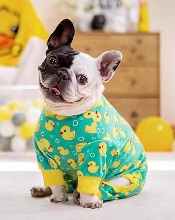 Dog Cooling Vest Evaporative Dog Cooler Jacket for Summer Outdoor — collection imagery
