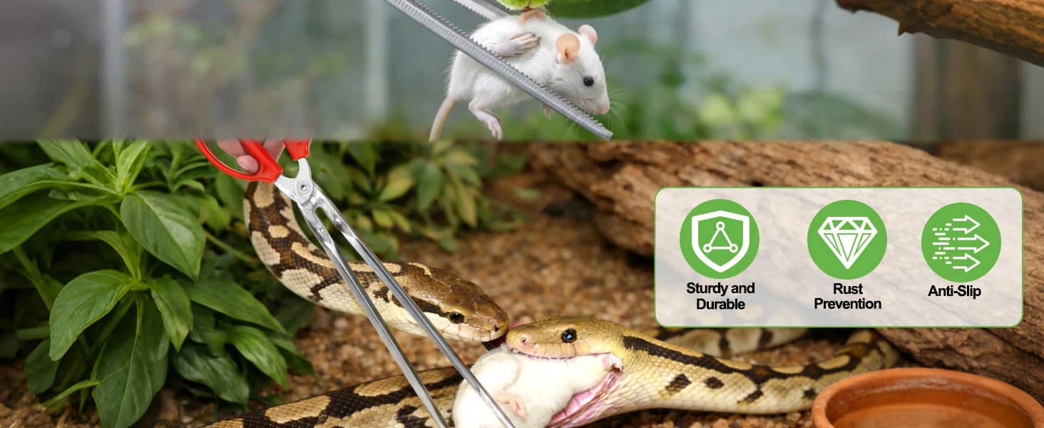 Snake Feeding Tongs,15 Inch Reptile Feeding Tongs — product details