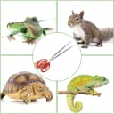 Snake Feeding Tongs,15 Inch Reptile Feeding Tongs