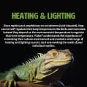 Deep Thermal Heat Lamp for Reptiles with Carbon Infrared Technology