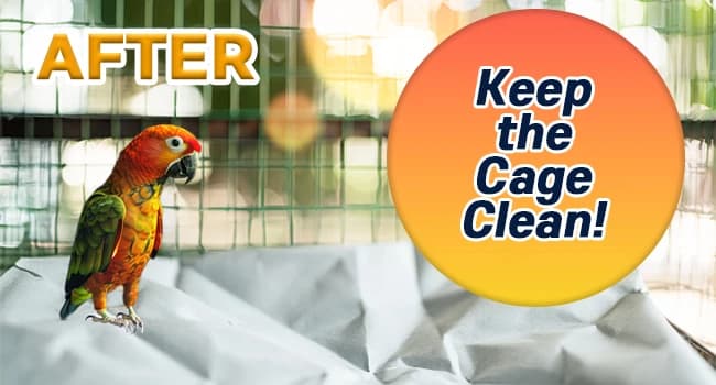 Bird Cage Liners — 120 Unscented Newsprint Sheets — Difficulties without a birdcage liner