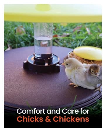 Cozy Coop Chicken Coop Heater — collection imagery