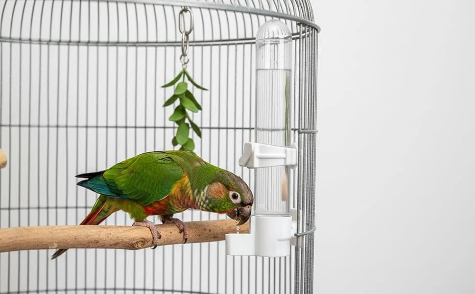 Automatic Bird Water Dispenser Cage Hanging Water Feeder with Anti-Spill Design for Parakeet Canary Small — product details