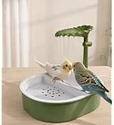 Indoor Bird Bath Fountain — Dual Rainfall Parrot Shower with Anti-Clog Pump and Filter Sponge — collection imagery