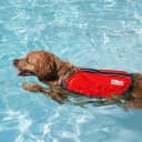 Dawson Swim Dog Life Jacket — Life Vest
