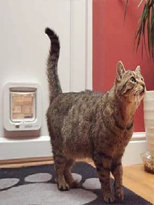 Sure Petcare Microchip Cat Flap — product details