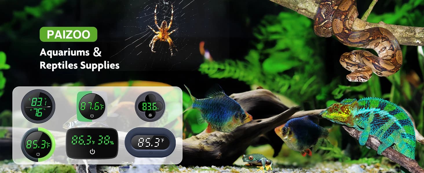 Real-time Display LED Digital Reptile Thermometer and Humidity Gauge — product details
