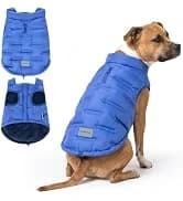 Dog Cooling Vest - Evaporative Summer Cooling — collection imagery