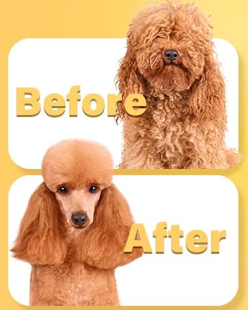 Dog Clippers Grooming Kit for Thick Coats and Heavy Duty — collection imagery