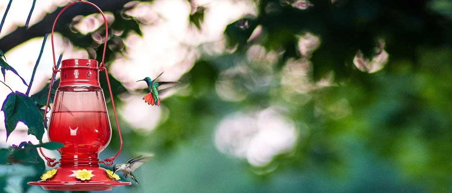 Metal Bird Feeders for Outdoors Hanging — collection imagery