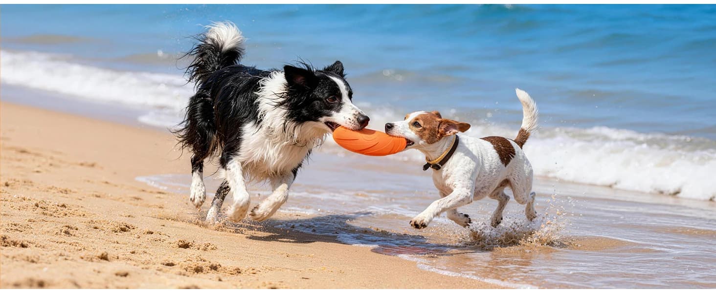 Dog Flying Disc — 2 Pack — product details