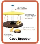 Cozy Coop Chicken Coop Heater — collection imagery