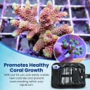 Premium Coral Fragging Kit — Complete Coral Propagation and Fragging Set